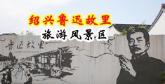 透骚逼视频中国绍兴-鲁迅故里旅游风景区